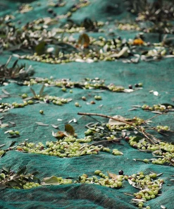 Honest Toil Extra Virgin Olive Oil 500ml Ingredients 11 Honest Toil Extra Virgin Olive Oil 500ml Ingredients