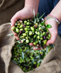 Honest Toil Extra Virgin Olive Oil 500ml Ingredients 10 Honest Toil Extra Virgin Olive Oil 500ml Ingredients