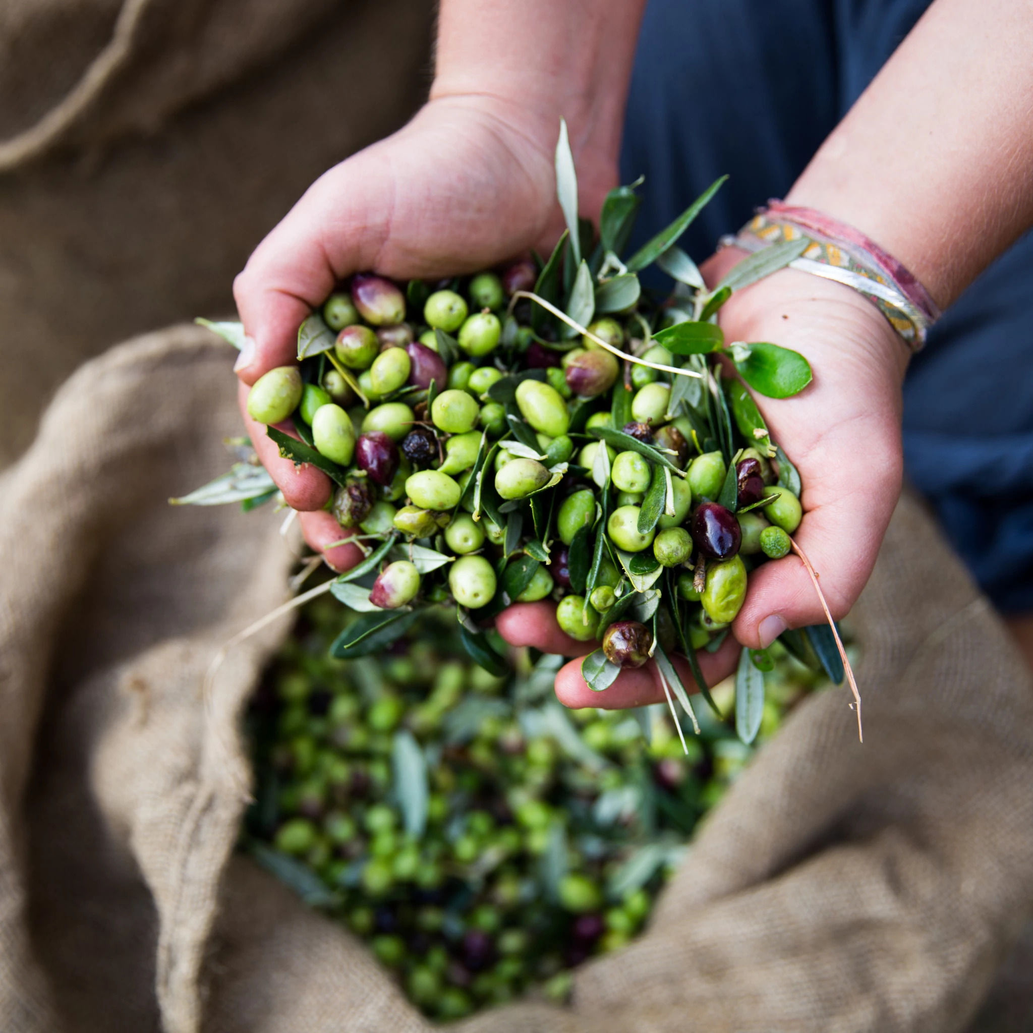 Honest Toil Extra Virgin Olive Oil 500ml Ingredients 6 Honest Toil Extra Virgin Olive Oil 500ml Ingredients