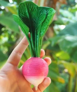 Oli & Carol Gifts Ramona The Radish Teething Toy 7 Oli & Carol Gifts Ramona The Radish Teething Toy