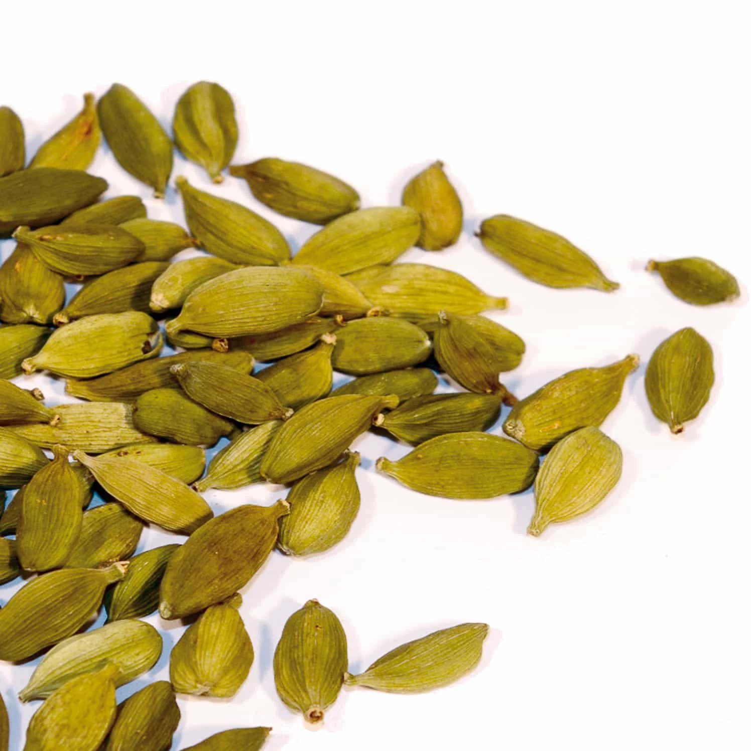 Terre Exotique Green Cardamom 500g Ingredients 4 Terre Exotique Green Cardamom 500g Ingredients