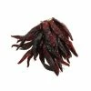 Brindisa Guindilla Pepper Ristra - String Of 50 2 Brindisa Guindilla Pepper Ristra - String Of 50