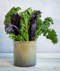 Ceramica Nicola Lagoa Kitchen Utensils Jar