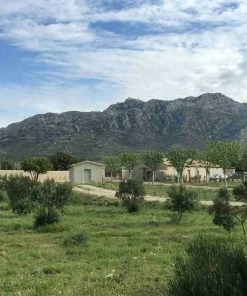 Ingredients Grand Brahis Vert AOP Vallee Des Baux De Provence Extra Virgin Olive Oil 500ml