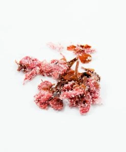 Japanese Ingredients Salted Sakura Cherry Blossom 30g
