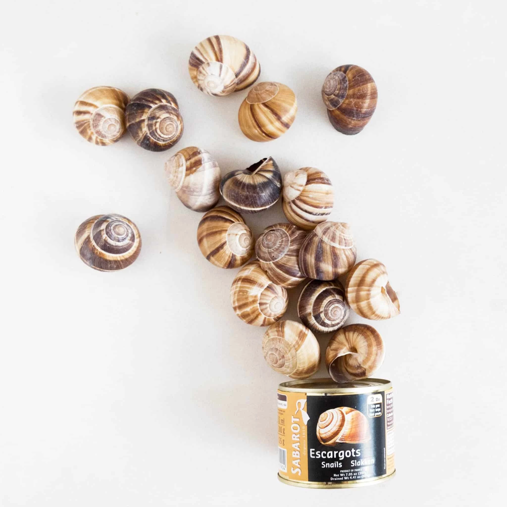Sabarot Tinned Snails With Shells 300g Ingredients 4 Sabarot Tinned Snails With Shells 300g Ingredients